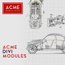 ACME Divi Modules