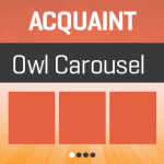 Acquaint Owl Carousel