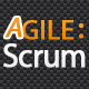 Agile Scrum – Project Issue Management