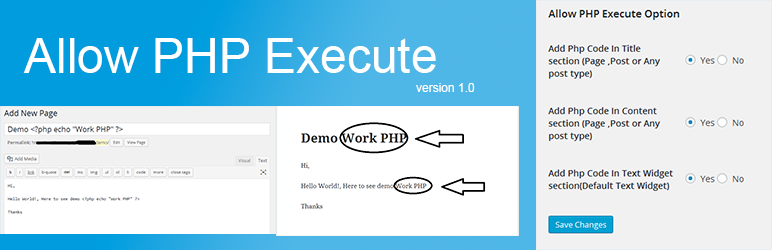 Allow PHP Execute Preview Wordpress Plugin - Rating, Reviews, Demo & Download