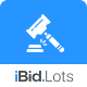 Auction Lots For IBid Theme