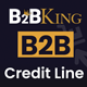 B2BKing Company Credit – WooCommerce Line Of Credit System (Add-on)