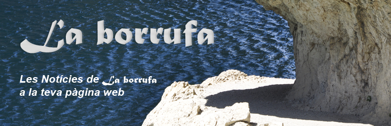Borrufa Widget Preview Wordpress Plugin - Rating, Reviews, Demo & Download