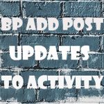 BP Add Post Updates To Activity