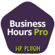 Business Hours Pro WordPress Plugin