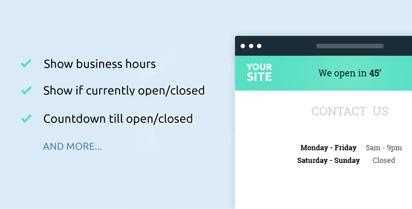Business Hours Ultimate Plugin for Wordpress Preview - Rating, Reviews, Demo & Download