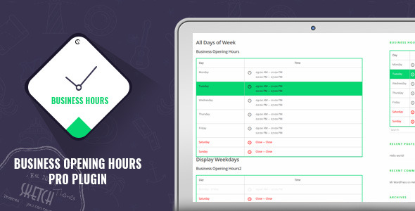 Business Opening Hours Pro Plugin Preview - Rating, Reviews, Demo & Download
