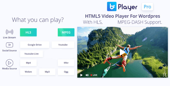 Bzplayer Pro – Live Streaming Player WordPress Plugin Preview - Rating, Reviews, Demo & Download