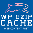 Cache Using Gzip
