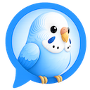ChatBudgie