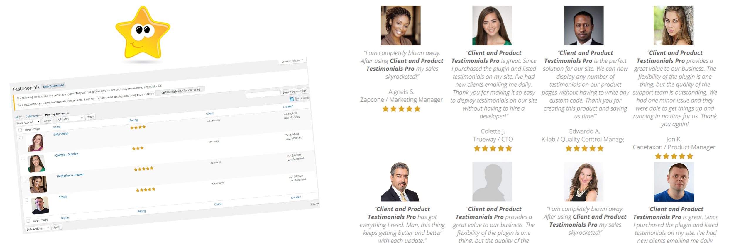 Client And Product Testimonials Preview Wordpress Plugin - Rating, Reviews, Demo & Download