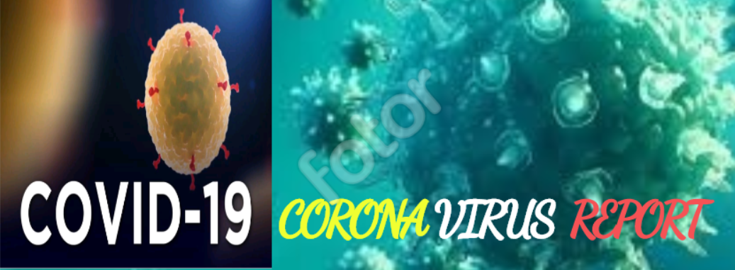 Covid-19 Corona Virus Report Preview Wordpress Plugin - Rating, Reviews, Demo & Download
