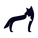 Coywolf SEO