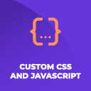 Custom CSS And JavaScript