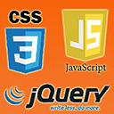 Custom CSS/JS