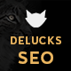 Delucks SEO Plugin For Wordpress