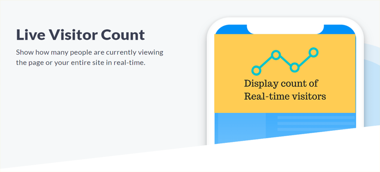 Display Live Visitors & Counter Preview Wordpress Plugin - Rating, Reviews, Demo & Download