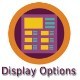 Display Options Extension – OpenTickets