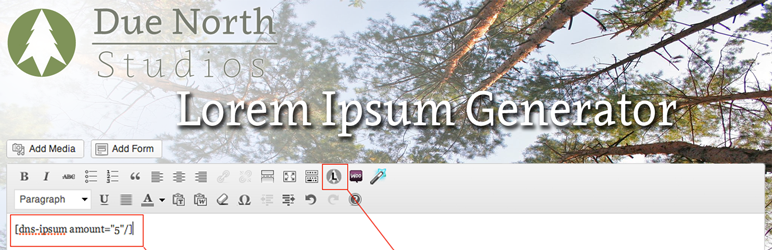 DNS Ipsum – Due North Studios Lorem Ipsum Generator Preview Wordpress Plugin - Rating, Reviews, Demo & Download
