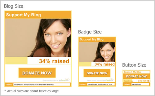 Donation Widget Preview Wordpress Plugin - Rating, Reviews, Demo & Download