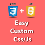 Easy Custom Css/Js