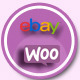 Ebay Woocommerce Product Manager