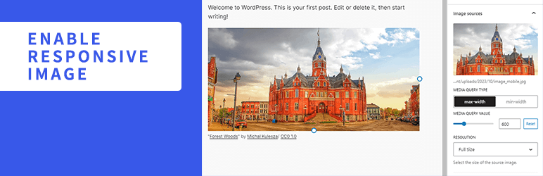 Enable Responsive Image Preview Wordpress Plugin - Rating, Reviews, Demo & Download