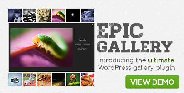Epic Gallery WordPress Plugin Preview - Rating, Reviews, Demo & Download