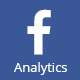 Facebook Analytics For WordPress