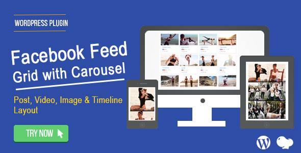 Facebook Feed : Post, Photo,Video And Timeline Plugin for Wordpress Preview - Rating, Reviews, Demo & Download