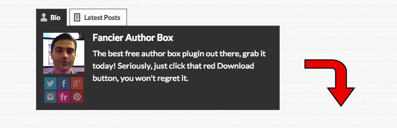 Fancier Author Box By ThematoSoup Preview Wordpress Plugin - Rating, Reviews, Demo & Download