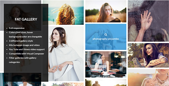 FAT Image Gallery Plugin for Wordpress Preview - Rating, Reviews, Demo & Download