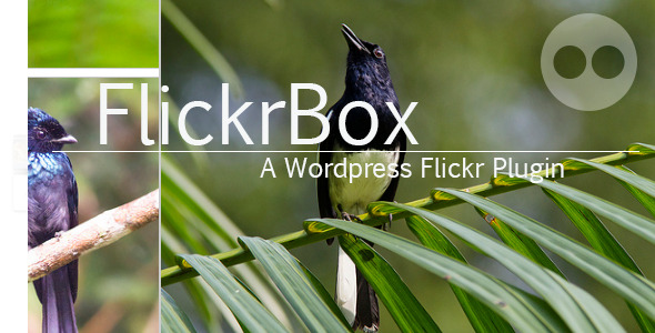 FlickrBox – Wordpress Flickr - Rating, Reviews, Demo & Download