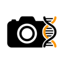 Fotogenic AI
