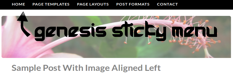 Genesis Sticky Menu Preview Wordpress Plugin - Rating, Reviews, Demo & Download