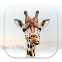 Girafi – Referral Program