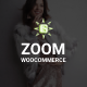 GonThemes WooCommerce Zoom Image