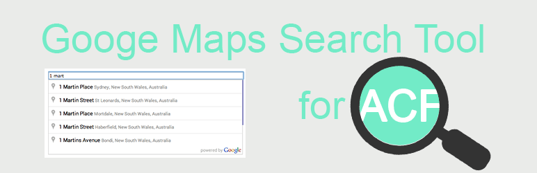 Google Maps Search Tool For ACF Preview Wordpress Plugin - Rating, Reviews, Demo & Download