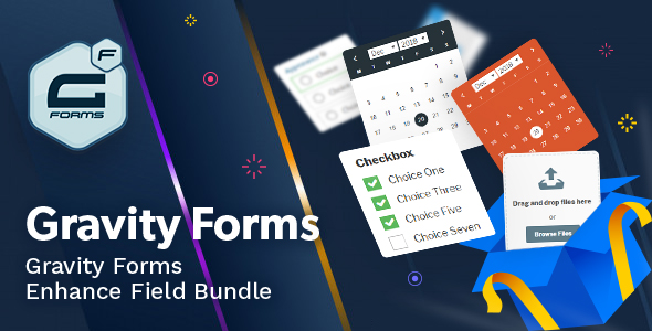 Gravity Forms Enhance Field Bundle Preview Wordpress Plugin - Rating, Reviews, Demo & Download