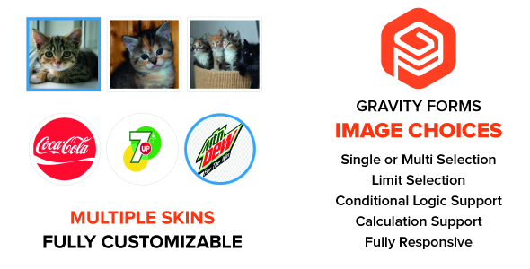 Gravity Forms Image Choices Preview Wordpress Plugin - Rating, Reviews, Demo & Download