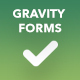 Gravity Forms Validation Rules