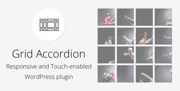 Grid Accordion – Responsive WordPress Plugin Preview - Rating, Reviews, Demo & Download