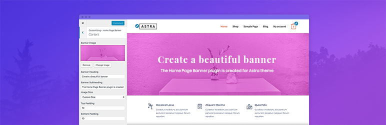 Home Page Banner For Astra Theme Preview Wordpress Plugin - Rating, Reviews, Demo & Download