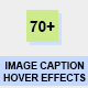 Image Caption Hover Effects
