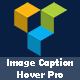 Image Caption Hover Pro For Visual Composer