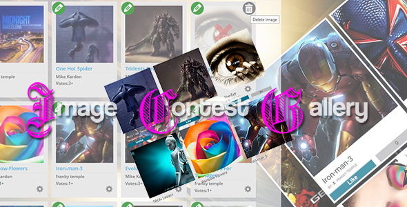 Image Contest Gallery System Preview Wordpress Plugin - Rating, Reviews, Demo & Download