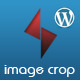 Image Crop For WordPress (tinymce)