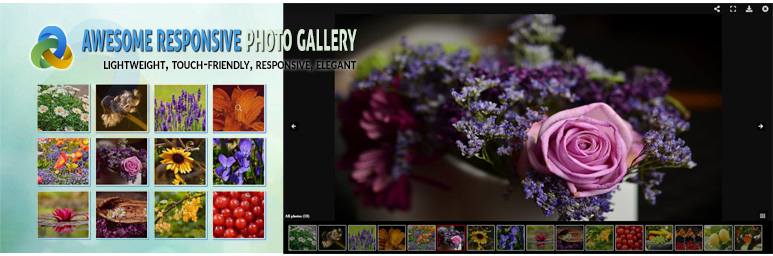 Image Gallery – Responsive Photo Gallery Preview Wordpress Plugin - Rating, Reviews, Demo & Download