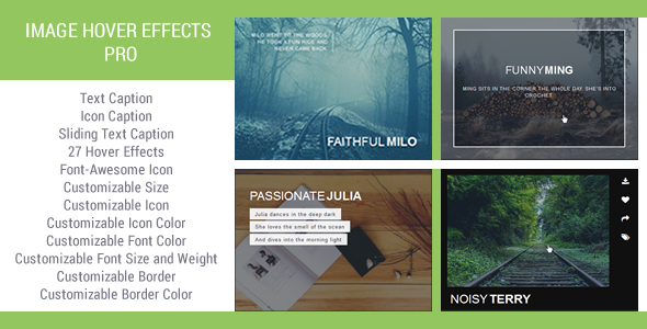Image Hover Effects With Flexible Customizing Options Preview Wordpress Plugin - Rating, Reviews, Demo & Download