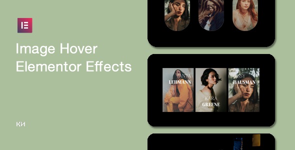 Image Hover Elements For Elementor Preview Wordpress Plugin - Rating, Reviews, Demo & Download